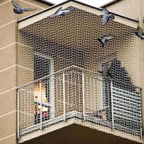 Pigeon Net